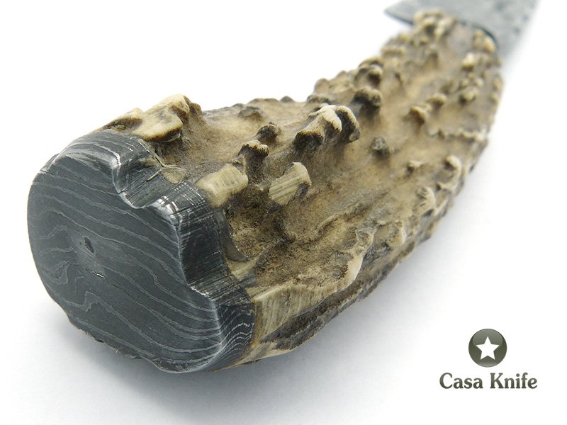 Adelar Filippon Faca em aço damasco para colecionador, com empunhadura em chifre de cervo Axis 31 cm