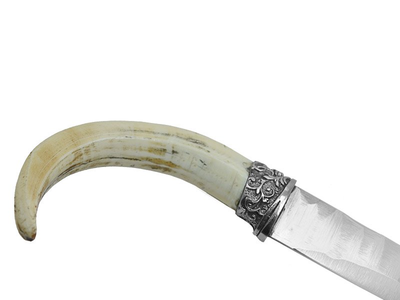 Adellar Filippon faca para churrasco em aço inox. Empunhadura em dente de javali,