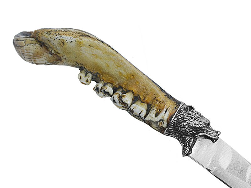Adellar Filippon faca para colecionador em aço inox. Empunhadura em mandibula de javali, 31 cm