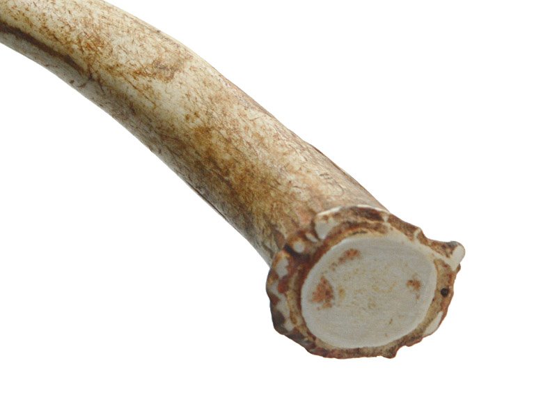 Kit parrilha artesanal forjado em aço 1070. Empunhadura chifre de cervo sambar